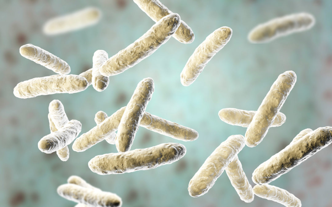 Microbiote et bien-être