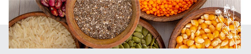 Aliments riches en prébiotiques